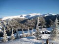2012-01-07_11-31-37_-rp- IMG_0083